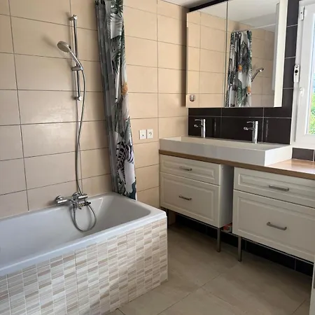Elegant House Near Chateau De Voltaire Holiday home *